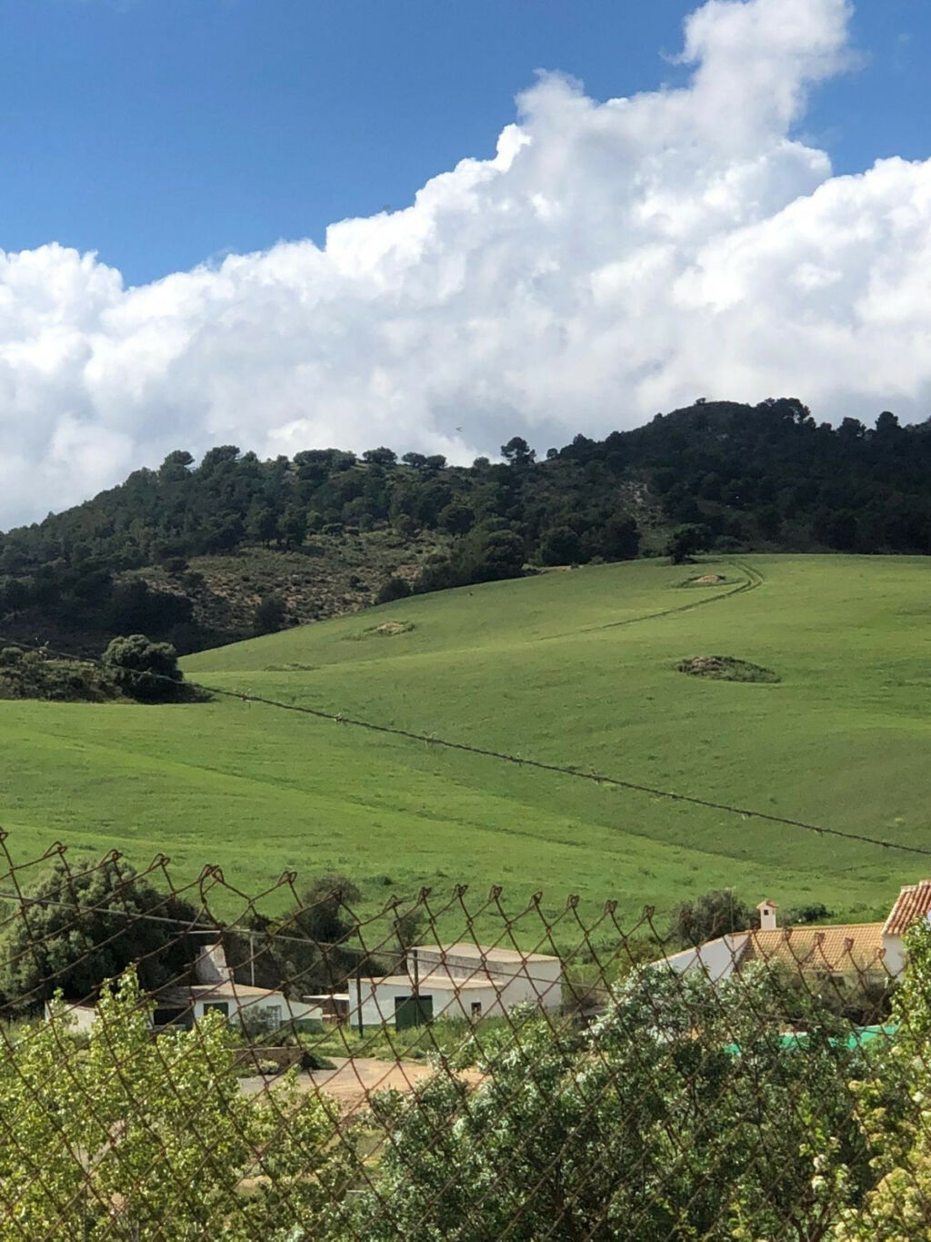 Finca - Cortijo Ardales Málaga - image 18