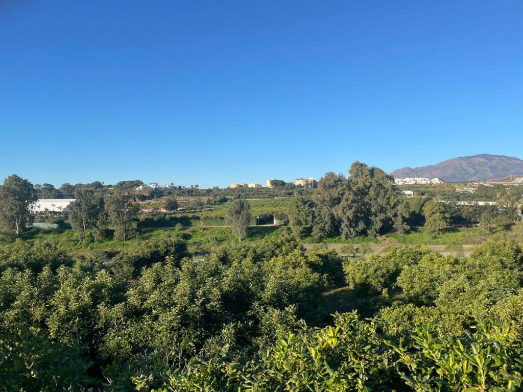 Finca - Cortijo Estepona Málaga - image 18
