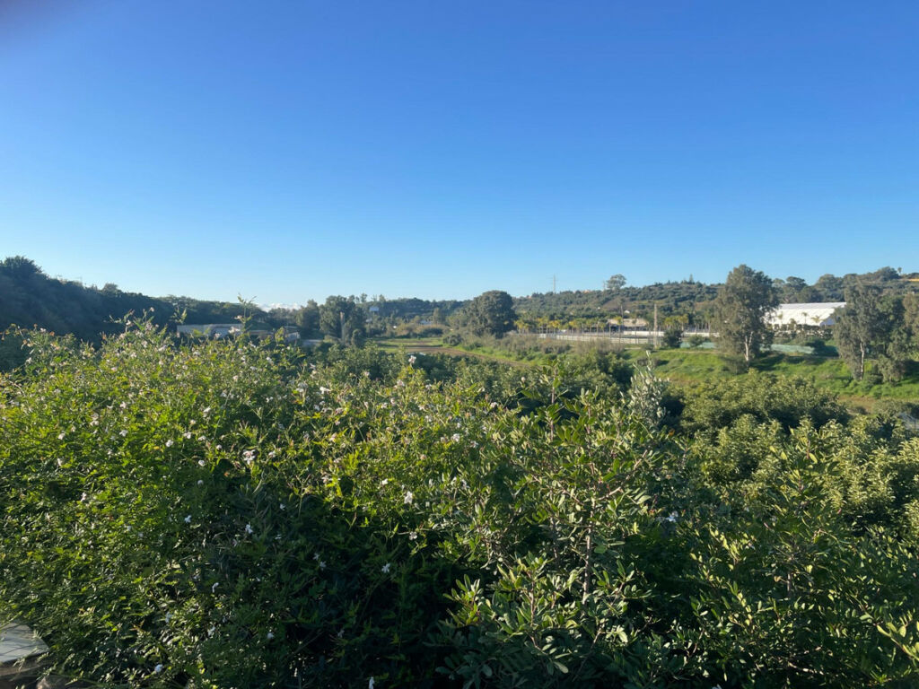 Finca - Cortijo Estepona Málaga - image 19