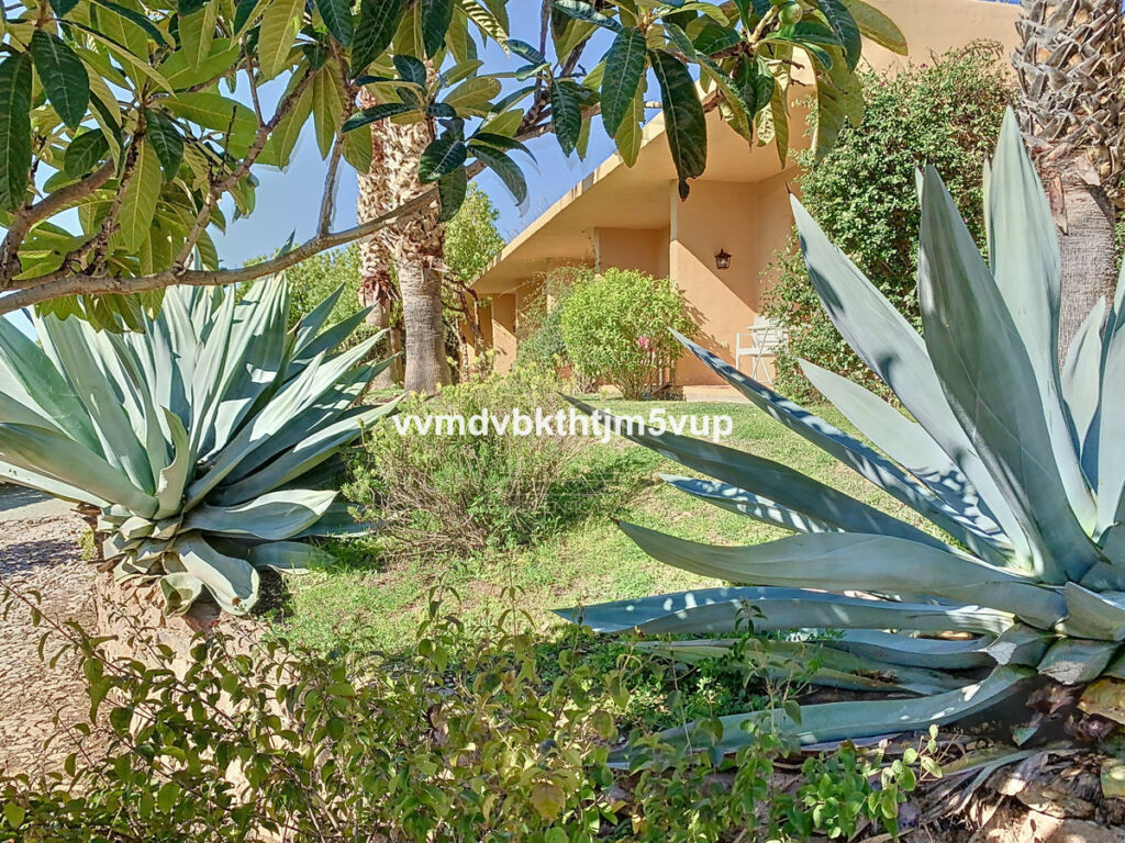 Finca - Cortijo Alcaucín Málaga - image 19