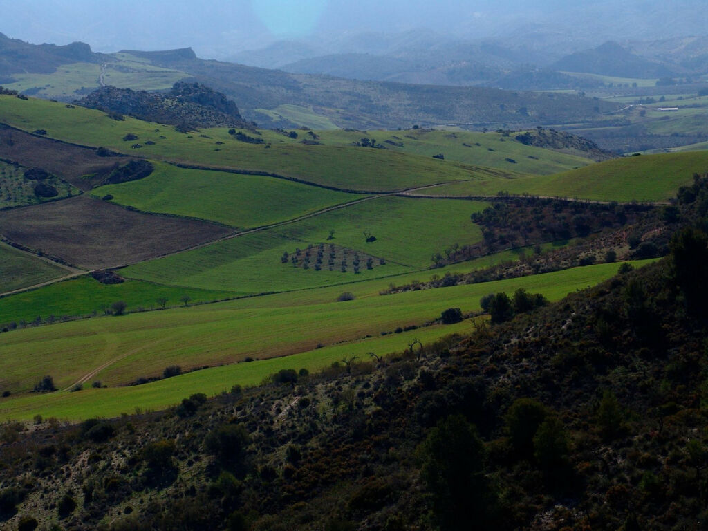 Finca - Cortijo Ardales Málaga - image 19