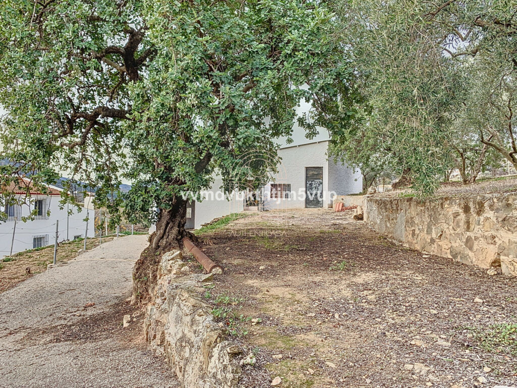 Finca - Cortijo Comares Málaga - image 2