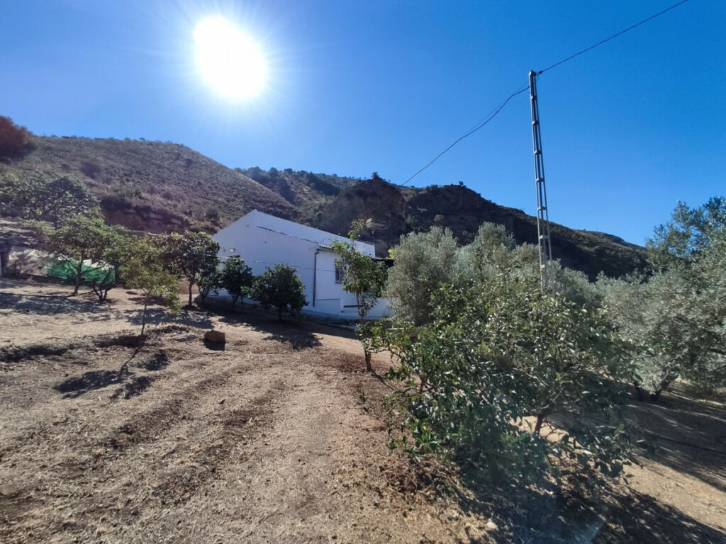 Detached Villa Alcaucín Málaga - image 2