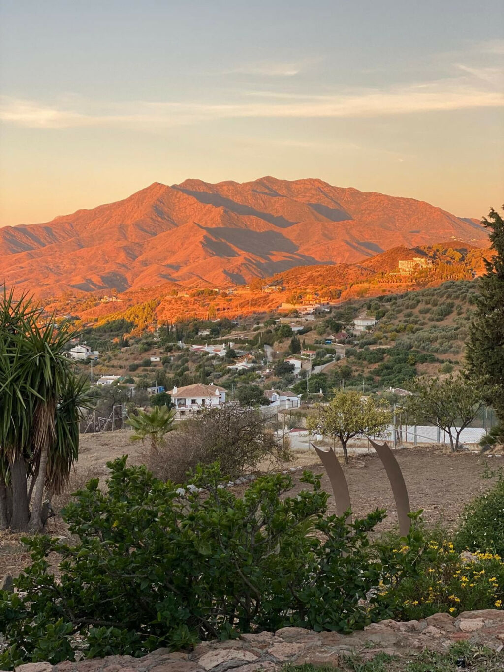 Detached Villa Mijas Málaga - image 6