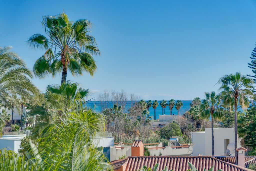 Detached Villa Costalita Málaga - image 2