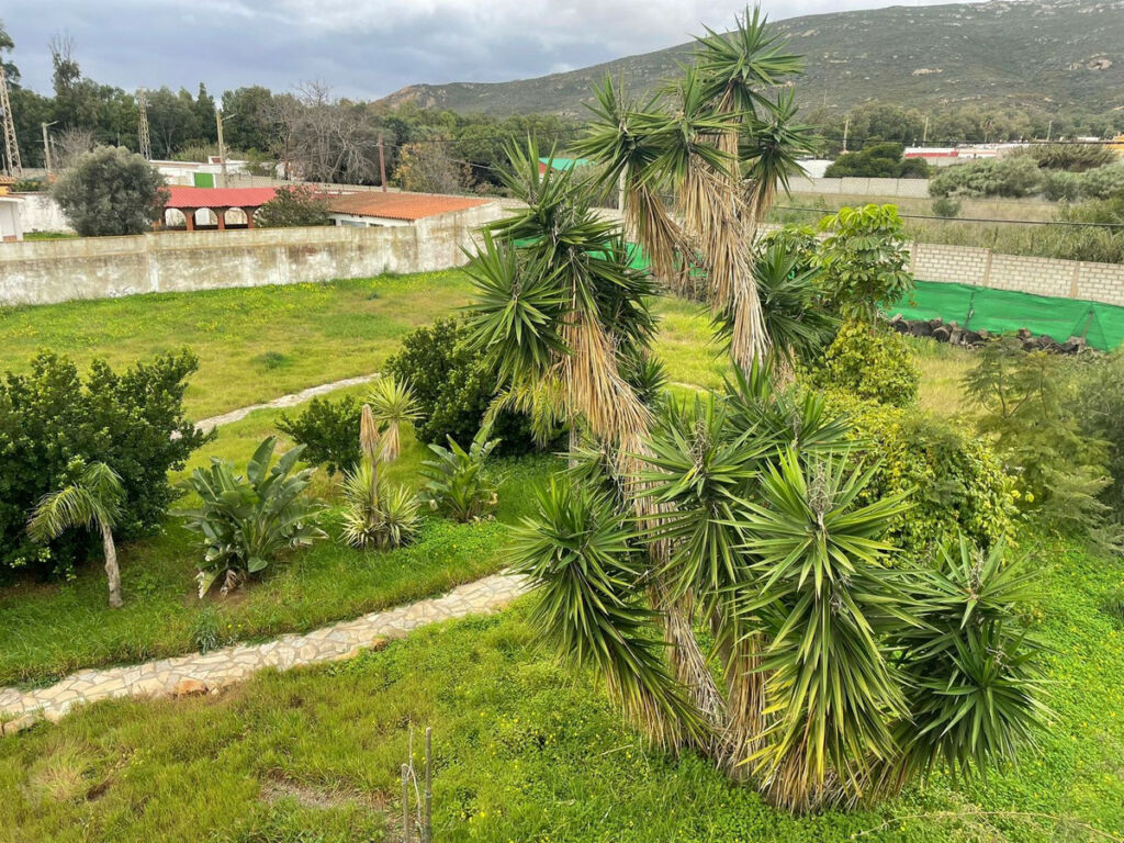 Detached Villa La Línea Cádiz - image 3