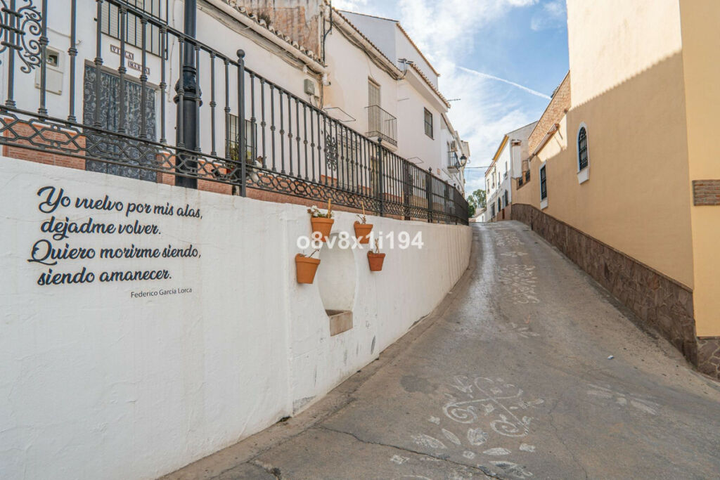 Detached Villa Pizarra Málaga - image 2