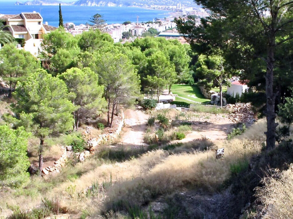 Land Javea Alicante - image 2