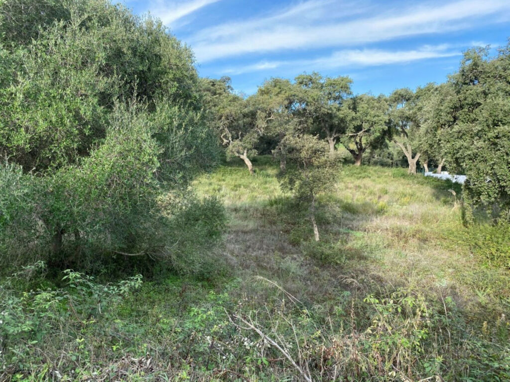 Residential Plot San Roque Club Cádiz - image 2