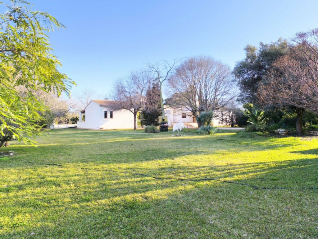 Detached Villa Ondara Alicante - image 2