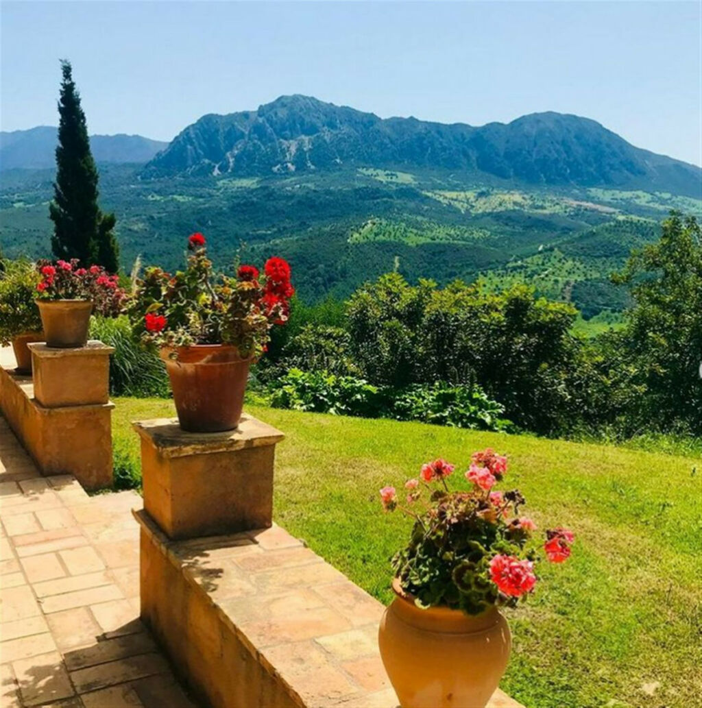 Finca - Cortijo Gaucín Málaga - image 20
