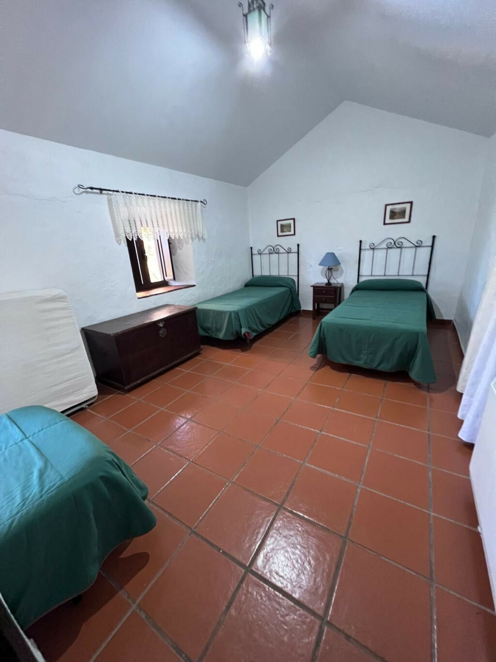 Finca - Cortijo Ronda Málaga - image 20