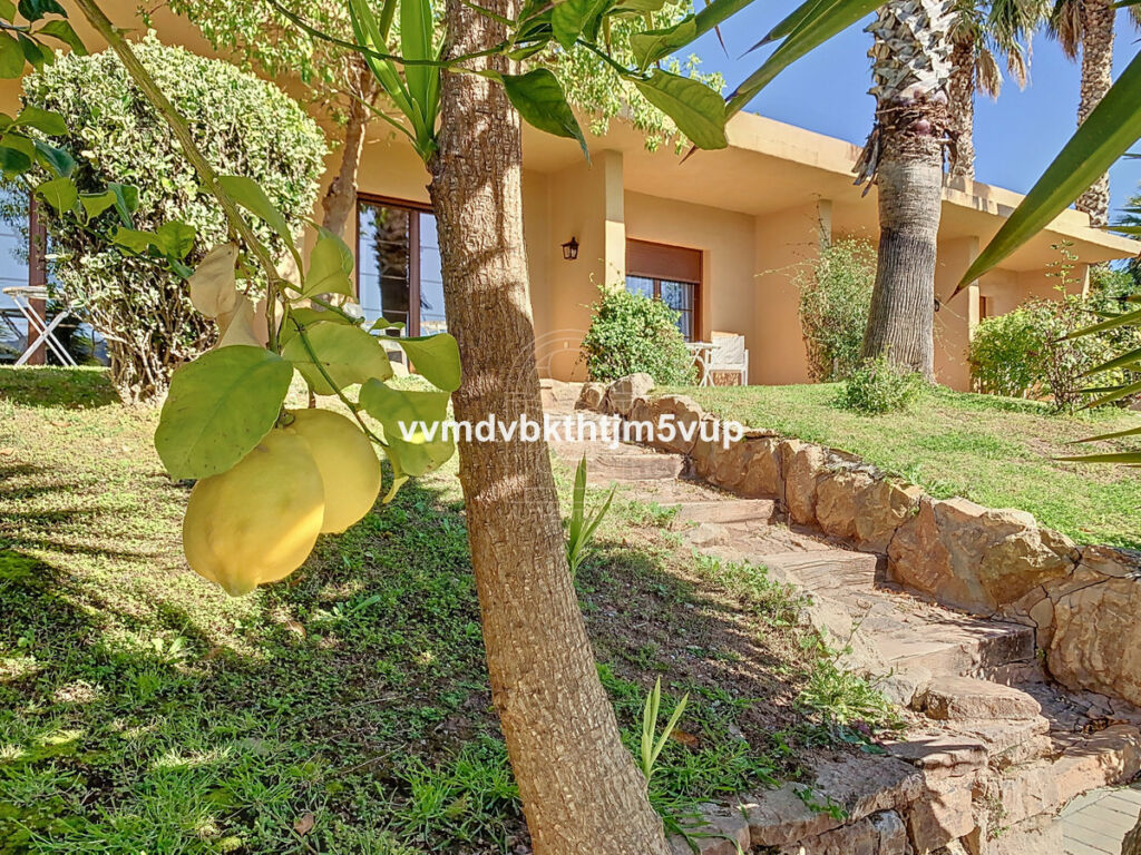 Finca - Cortijo Alcaucín Málaga - image 20