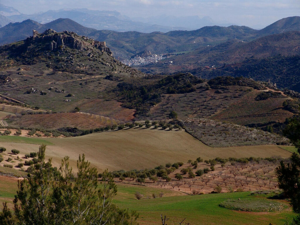 Finca - Cortijo Ardales Málaga - image 20