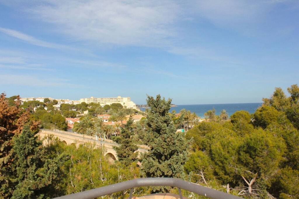Detached Villa Dehesa de Campoamor Alicante - image 22