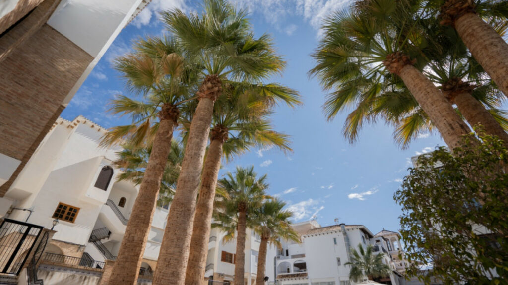 Ground Floor Apartment Orihuela Alicante - image 22
