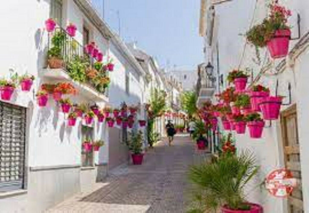 Middle Floor Apartment Estepona Málaga - image 26