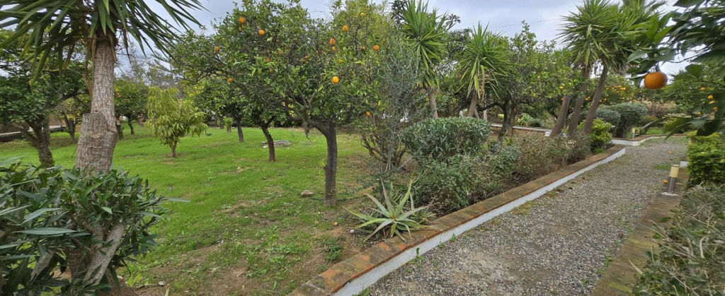 Detached Villa Alhaurín de la Torre Málaga - image 22
