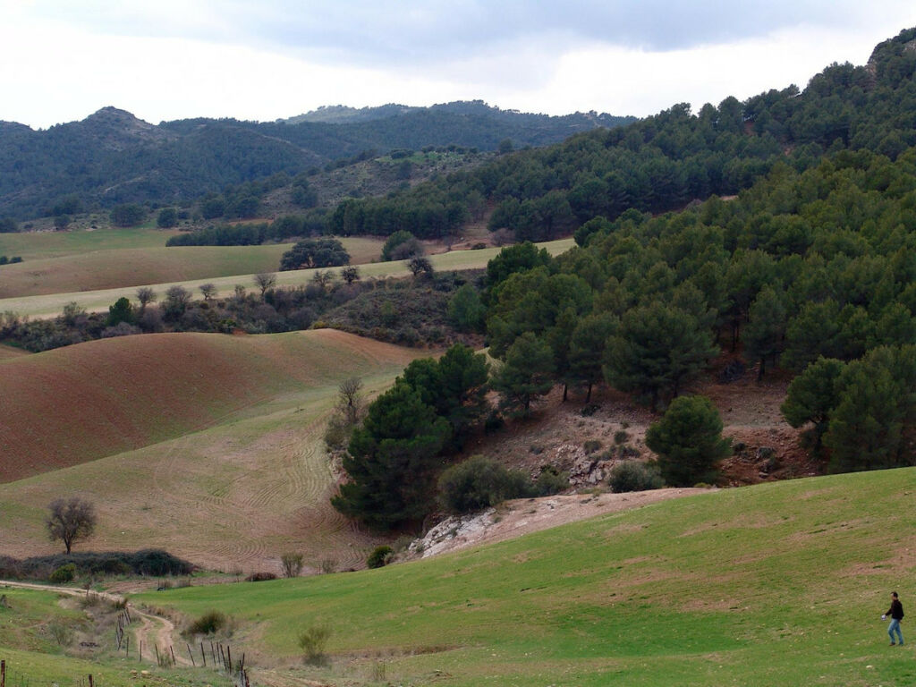 Finca - Cortijo Ardales Málaga - image 23