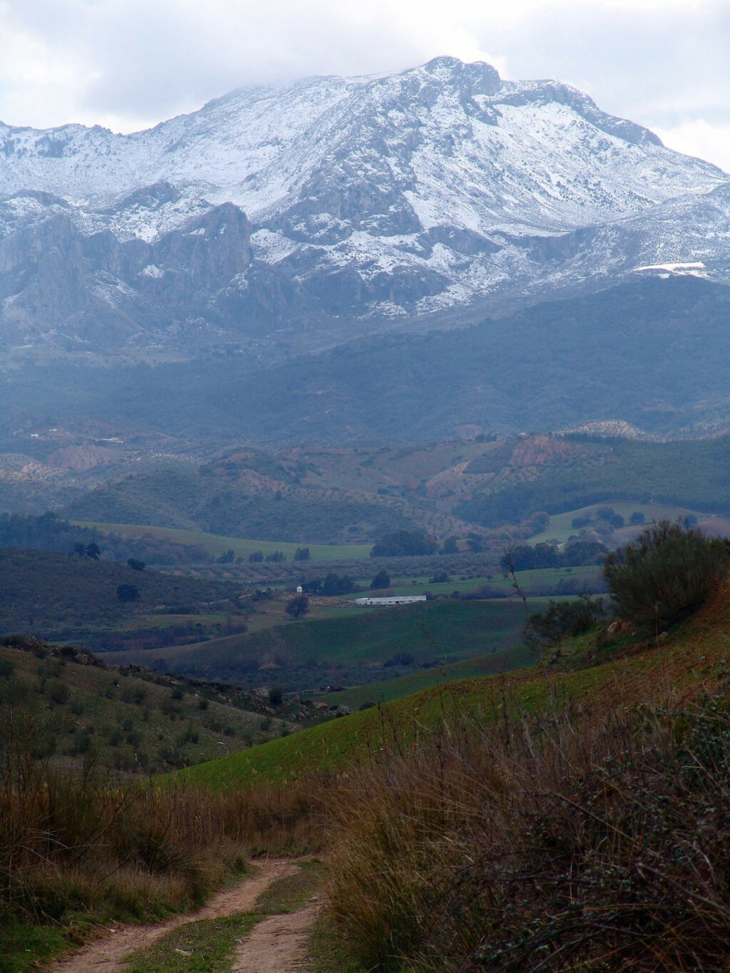 Finca - Cortijo Ardales Málaga - image 24