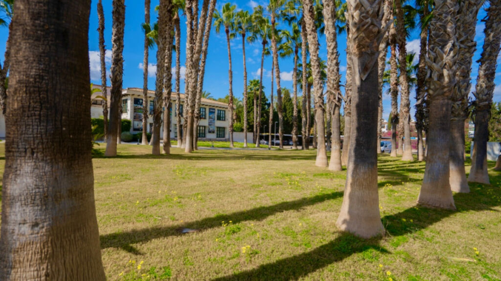 Ground Floor Apartment Orihuela Alicante - image 25
