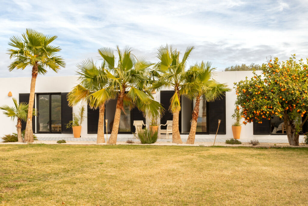 Finca - Cortijo Javea Alicante - image 24