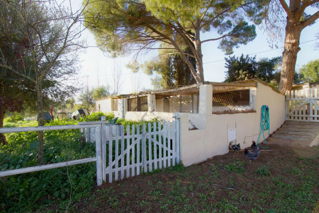 Detached Villa Cártama Málaga - image 27