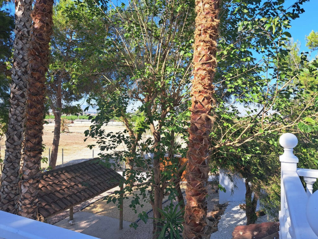Detached Villa Orihuela Alicante - image 28