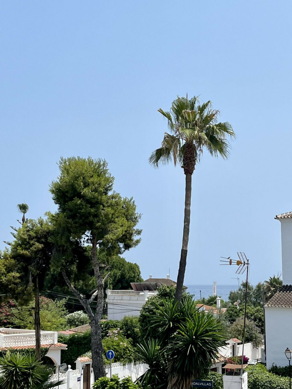 Detached Villa San Pedro de Alcántara Málaga - image 28