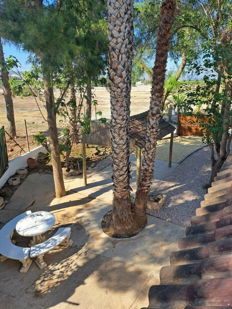 Detached Villa Orihuela Alicante - image 29