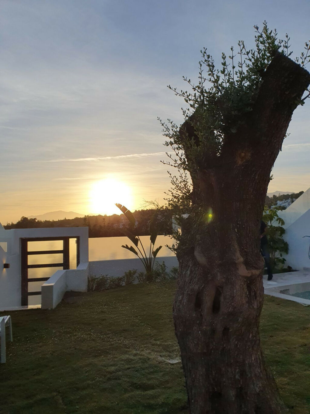 Detached Villa Marbella Málaga - image 29