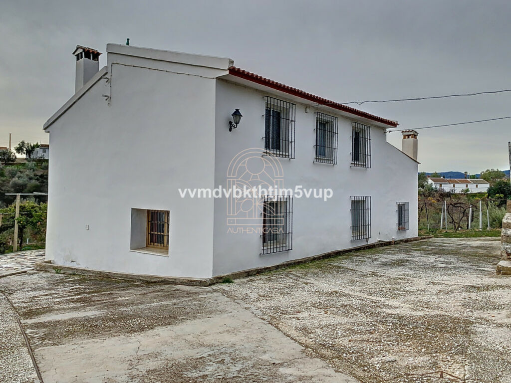Finca - Cortijo Comares Málaga - image 3