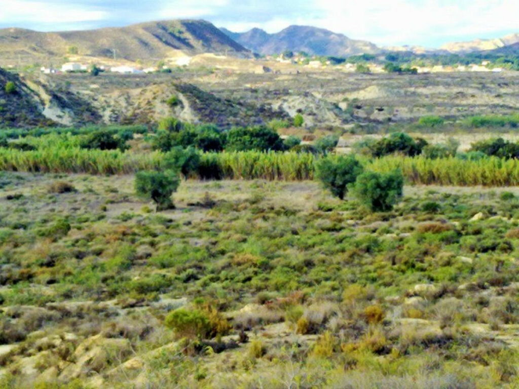 Land Torremendo Alicante - image 3