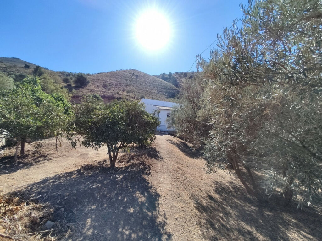 Detached Villa Alcaucín Málaga - image 3