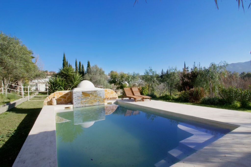 Detached Villa Cártama Málaga - image 3