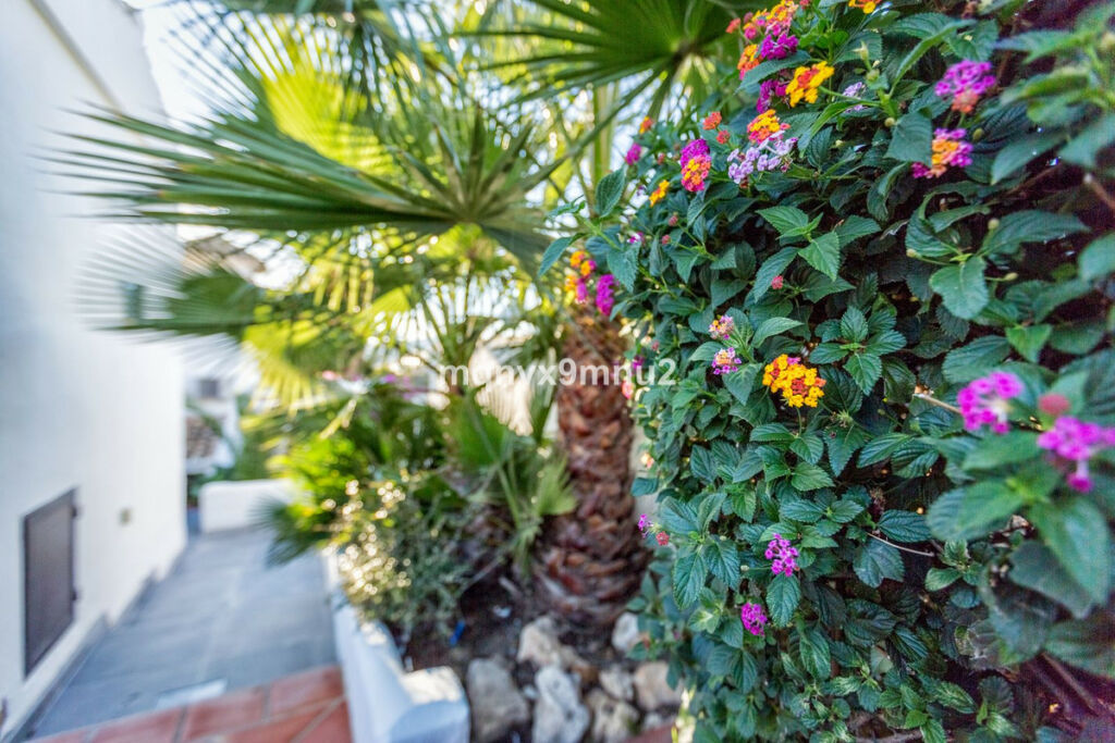 Detached Villa El Chaparral Málaga - image 7
