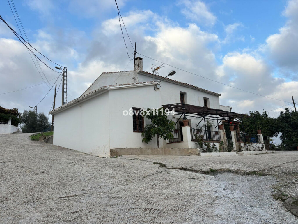 Finca - Cortijo Cútar Málaga - image 3