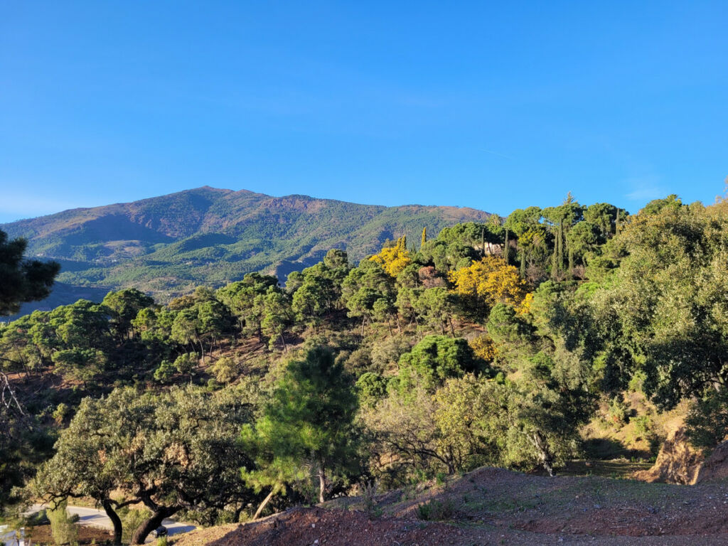 Land La Zagaleta Málaga - image 3