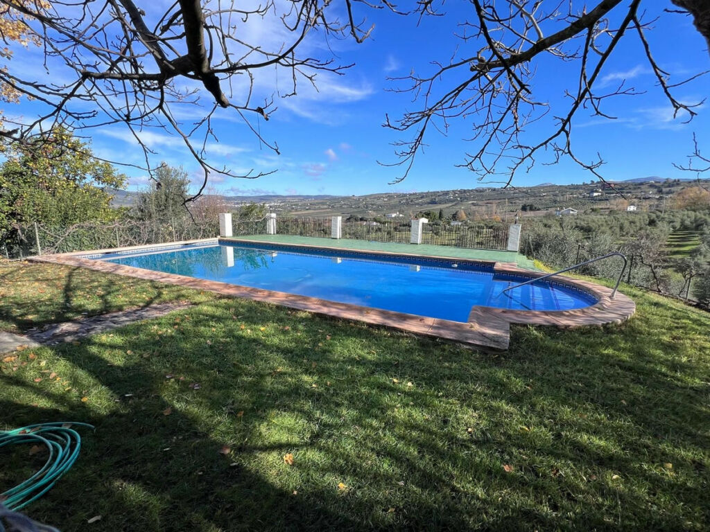 Finca - Cortijo Ronda Málaga - image 30