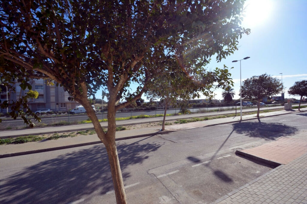 Semi-Detached House Guardamar del Segura Alicante - image 30