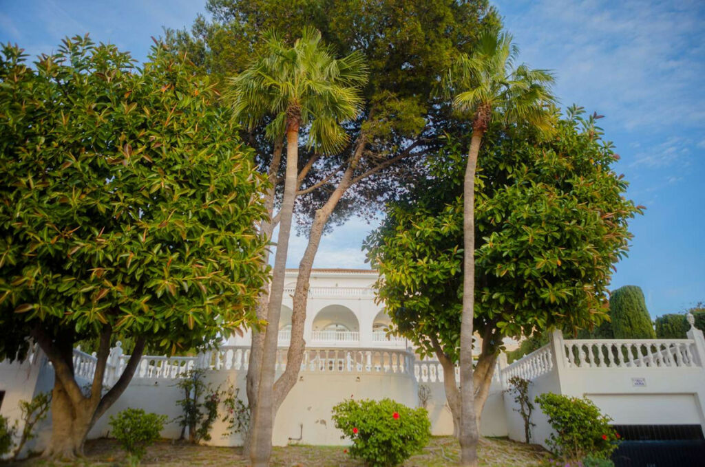 Detached Villa Benalmadena Málaga - image 31