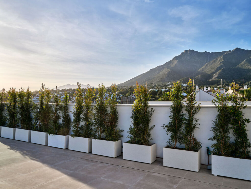 Detached Villa Marbella Málaga - image 31