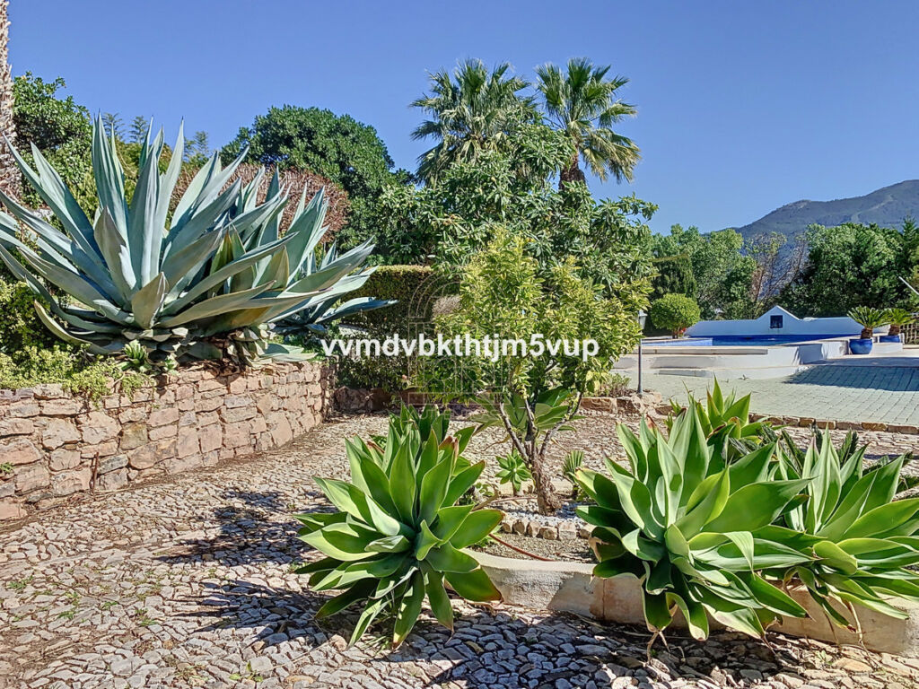 Finca - Cortijo Alcaucín Málaga - image 31