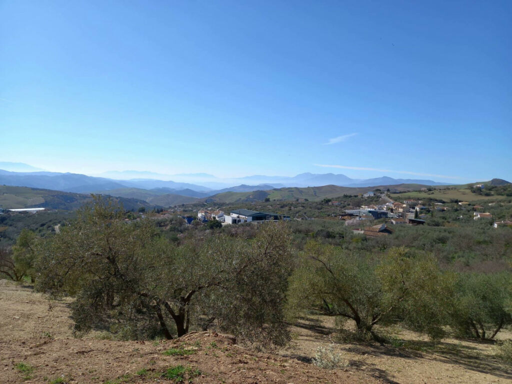 Finca - Cortijo Villanueva De La Concepcion Málaga - image 32