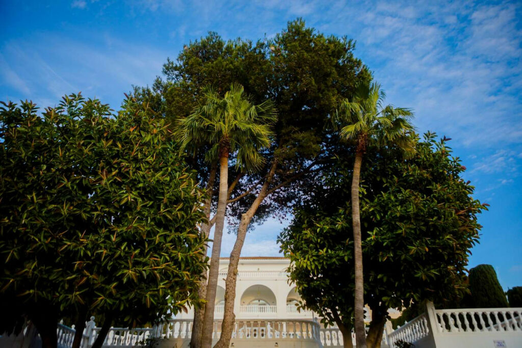 Detached Villa Benalmadena Málaga - image 32