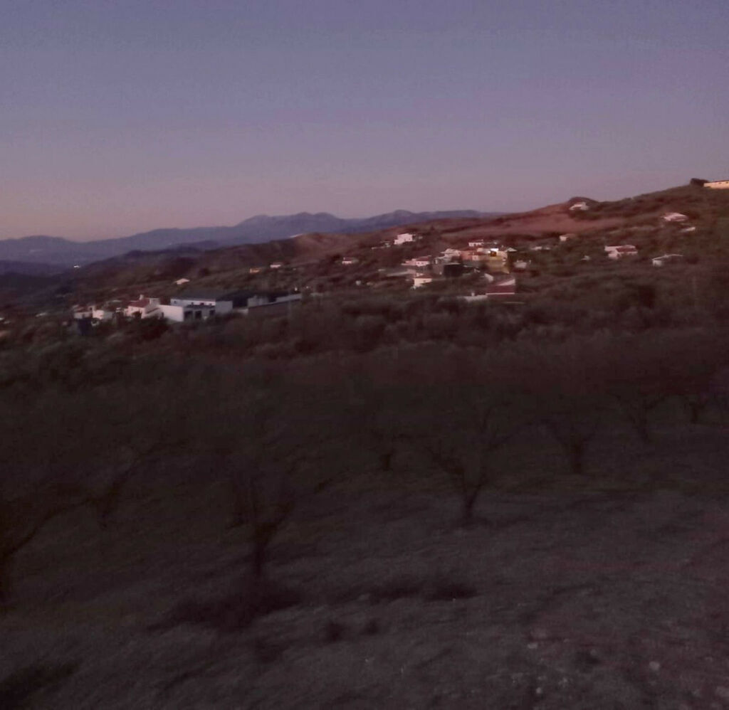 Finca - Cortijo Villanueva De La Concepcion Málaga - image 33