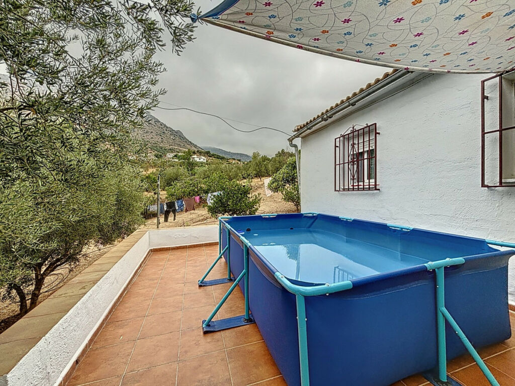 Detached Villa Alcaucín Málaga - image 35