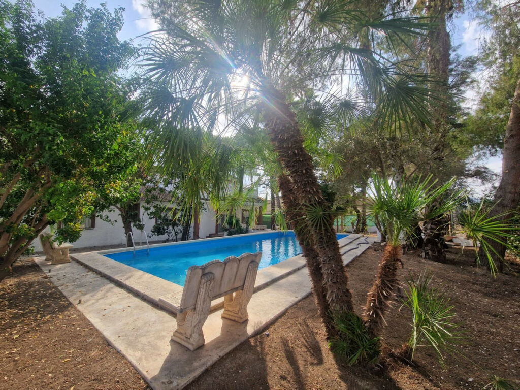 Detached Villa Orihuela Alicante - image 36