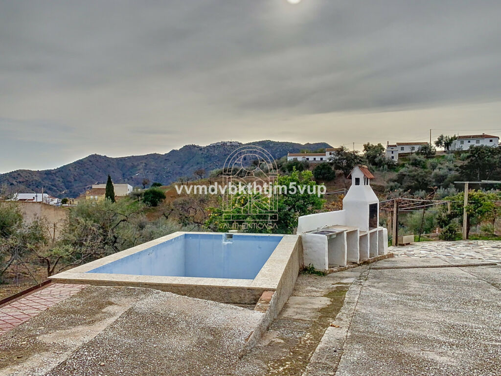 Finca - Cortijo Comares Málaga - image 36
