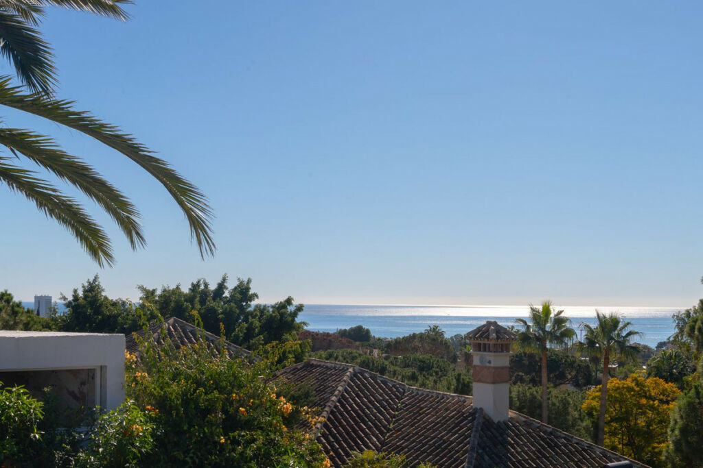 Detached Villa Elviria Málaga - image 42
